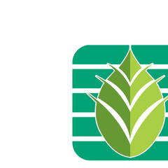  leaf botany farm logo vektor. green leaf isolated