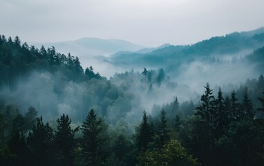 Misty forest and distant mountains captured in a breathtaking unsplash-style photo, showcasing nature's serene beauty.