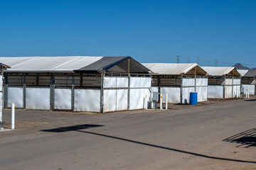 Cattle and horses corrals for events in Arizona