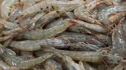 fresh fish on iced showcase on the seafood market