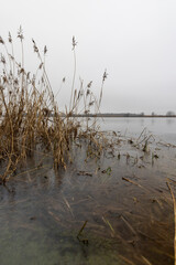 frozen lake in winter in cloudy weather, ice on the lake ts