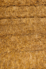 stacks of straw in the field in the winter season