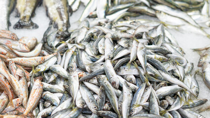 fresh fish on iced showcase on the seafood market