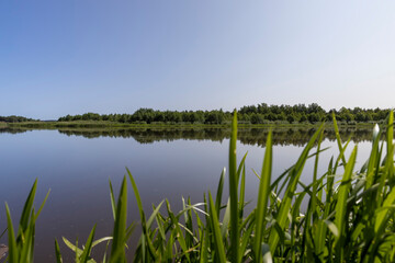 a wide river in eastern Europe, the Neman