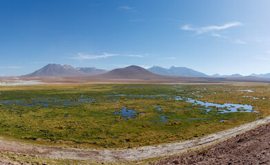 Fototapeta na wymiar Scenic wetlands Vado Rio Putana between San Pedro de Atacama and the geysers of El Tatio in the Atacama desert in Chile, South America