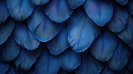 a close up of a blue bird's feathers with a lot of blue feathers on it's back. - obrazy, fototapety, plakaty