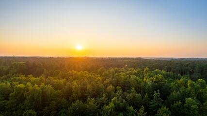 This image portrays a tranquil scene of the sun setting over a dense forest canopy. The warm sunlight filters through the trees, casting a golden glow over the green expanse. The uninterrupted view of