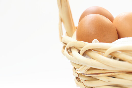 egg