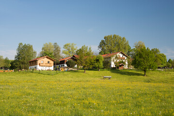 Bauernhof in Oberbayern umgeben von blühenden Wiesen an einem sonnigen Morgen im Frühling,Bayern,Deutschland