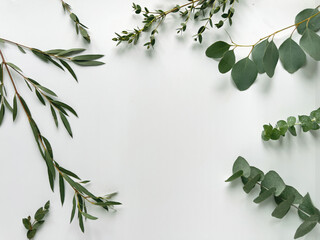 White background with eucalyptus and various evergreen twigs, overhead view.