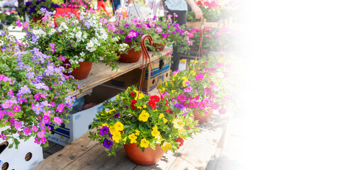 Web banner with mock up. Flower spring festival. Top view of pots with price tags. Gardening market. Copy space
