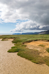 panoramic look over the green beach of Rauðisandur in summer