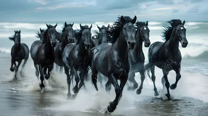 Fotobehang A herd of black horses running towards the viewer on a beach, with the surf of the ocean at their hooves and a stormy sky above. The sense of movement is palpable as the horses appear to emerge from t © Dionysus