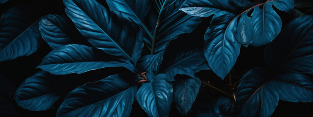 Abstract azure leaves in a captivating flat lay, evoking a dark tropical mood. Dark nature concept, tropical leaf.