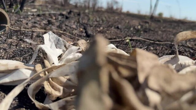 Tail munition from mortar carrier, or self-propelled mortar (self-propelled artillery piece) on burnt ground (munition from cluster rocket),  ropes lead to white parachute lying nearby. War in Ukraine