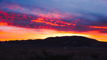 JOSHUA TREE NP