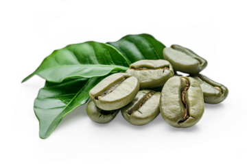 Unroasted raw green coffee beans with leaves, closeup detail isolated on transparent background. Generative AI