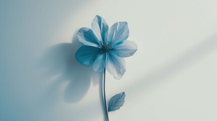 Fototapeta na wymiar a single blue flower sitting on top of a white wall next to a green leaf on the side of the wall.