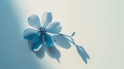 Fototapeta na wymiar a blue flower casts a shadow on a light blue background with a shadow of a single flower on the left side of the image.
