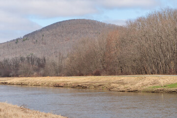 Erly spring late winter copy space park