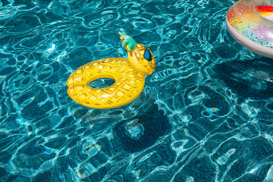 Pineapple Pool Float