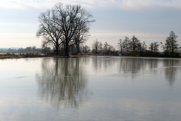 NSG Wernaue bei Ettleben im Winter, zwischen den Orten Ettleben und Schnackenwerth, Markt Werneck, Landkreis Schweinfurt, Unterfranken, Bayern, Deutschland