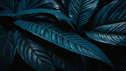 Textures of abstract cerulean leaves, creating a striking and moody tropical flat lay. Dark nature concept, tropical leaf.