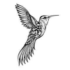 hummingbird in flight, calibri line art black and white illustration 