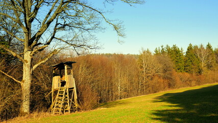 Obraz premium malerischer Hochsitz unter Baum auf grüner sonniger Wiese im Schwarzwald unter blauem Himmel