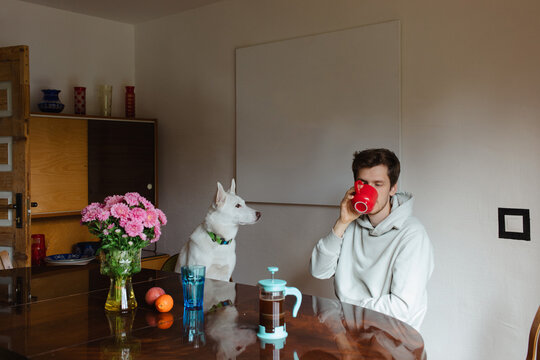 man and dog sitting together at the table