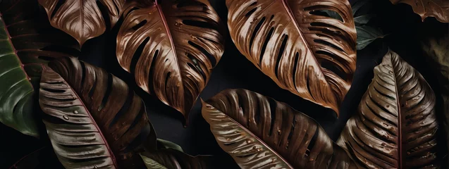 Fotobehang Textures of abstract bronze leaves in a captivating tropical flat lay. Dark nature concept, tropical leaf. © xKas
