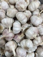 white garlic , garlic seeds, fresh garlic, garlic in uae market