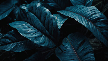 Textures of abstract cerulean leaves, creating a striking and moody tropical flat lay. Dark nature concept, tropical leaf.