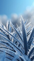 Frosty Aura: Yucca exudes a frosty aura, its icy leaves casting a cool, calming presence in the winter air.