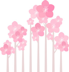 Vector frame of cherry blossoms.
