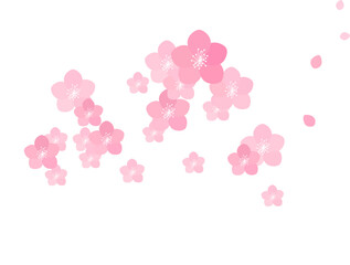 Vector frame of cherry blossoms.
