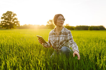 A woman farmer with a modern tablet in green field. Concept for farm development, horticulture.