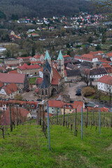 Historische Altstadt der Weinbergstadt Freyburg an der Unstrut, Burgenlandkreis, Sachsen-Anhalt,...