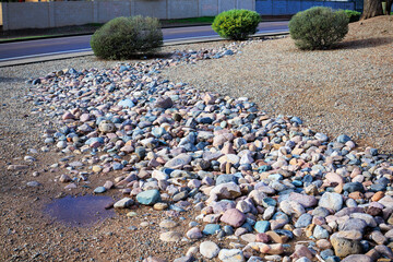 Xeriscaped Street Roadside with Drought-Tolerant Shrubs and River Rocks in Phoenix, AZ