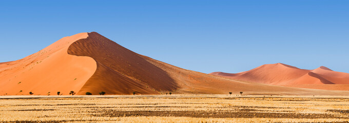 Fototapeta na wymiar Afrika, Namibia, Nationalpark, Namib Naukluft Park, Sossusvlei, Dünen, Düne, roter Sand, Wüste