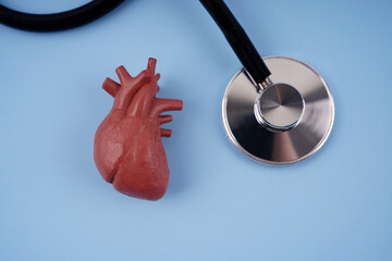 Health and medical concept. Mini human’s heart replica and stethoscope arranged on a blue background.