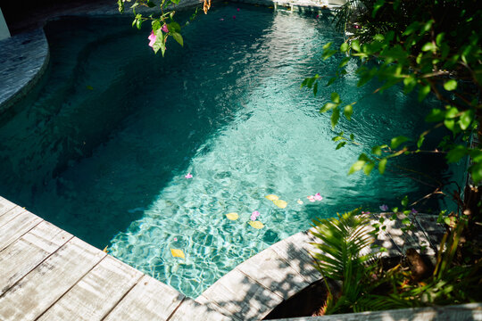 summer pool 