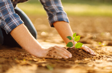 Сlose up hand of person holding abundance soil with young plant. Concept green world earth day....