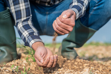 Male hands touching soil on the field. Expert hand of farmer checking soil health before growth a...