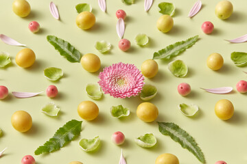 Holiday pattern made of ripe apples,cherry plums and flowers