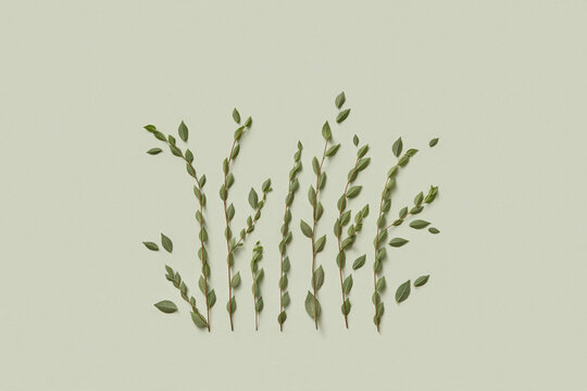 Natural ornament made of multiple twigs and green leaves