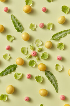 Natural pattern of apple, cherry plums, petals and leaves