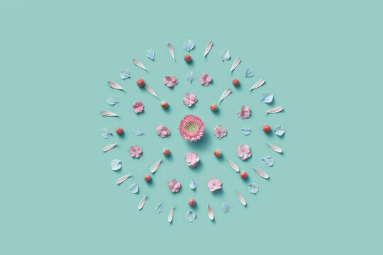 Gentle spring composition of flowers, petals and apples