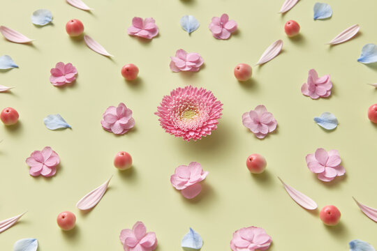 Festive pattern made of spring flowers and paradise apples