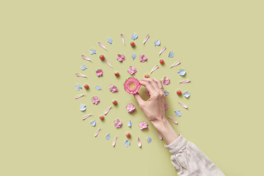 Close up of woman's hand putting aster in floristic pattern